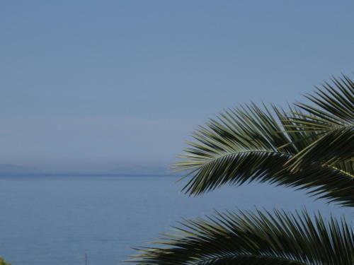 Croatia Apartman